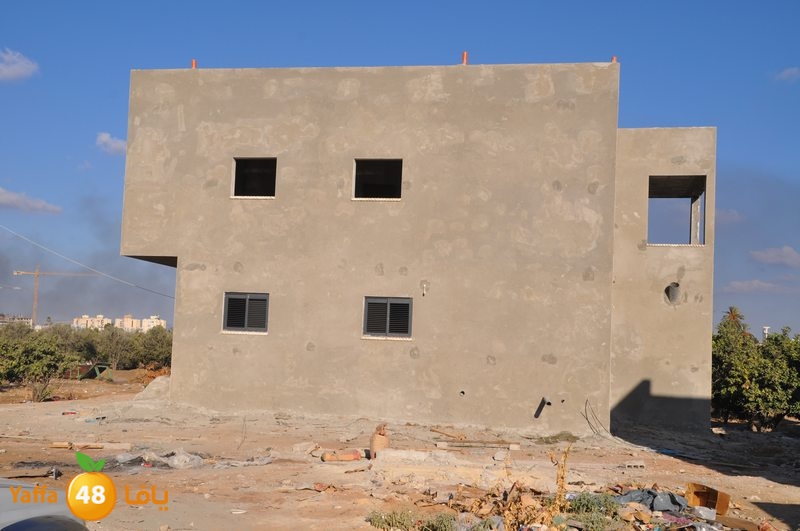 wafd motabaet3a (40).JPG